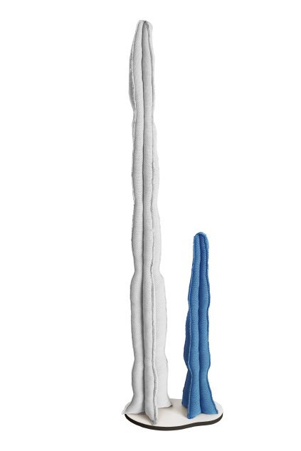 cactus dekoracia