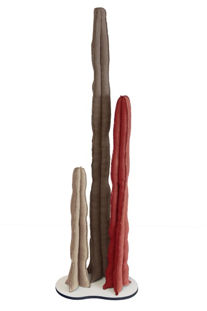cactus dekoracia