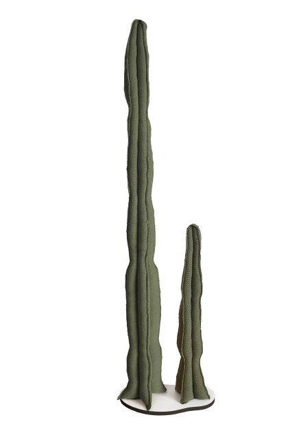 cactus dekoracia