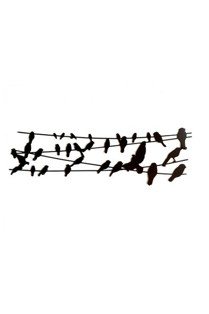 bird on wire vesiak
