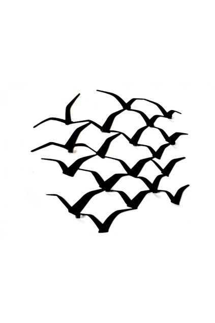 birds vesiak