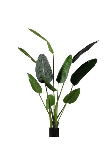 373819 G 01 VS FA Strelizia kunstplant groen 164cm EA