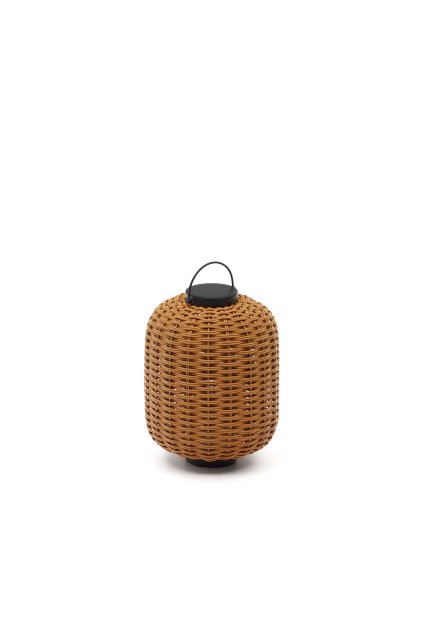 L1100010FN10 0V01