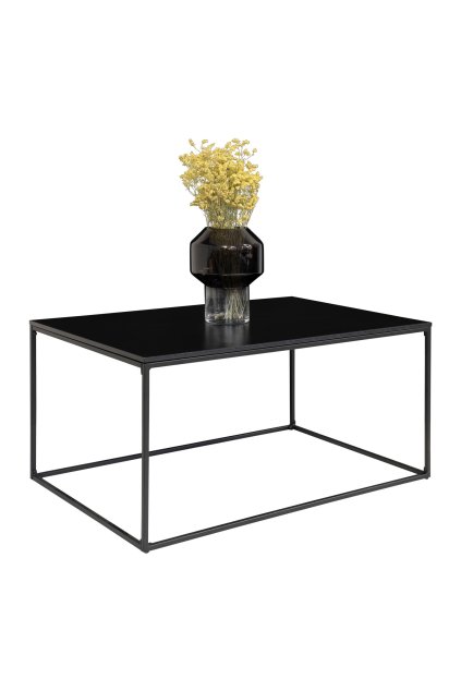 Konferenčný stolík Vita - Konferenčný stolík, čierny, čierny rám 60x90x45 cm