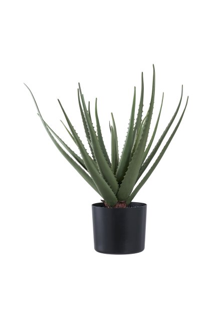 Aloe Vera - umelá rastlina, zelená H:51 cm