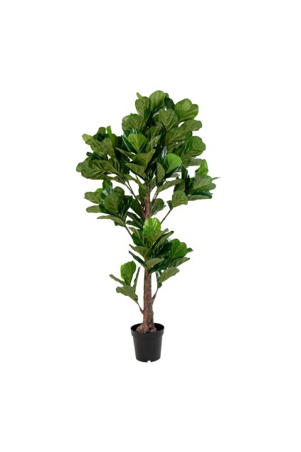 Fiddle Leaf Tree - umelá rastlina, zelená H:190 cm
