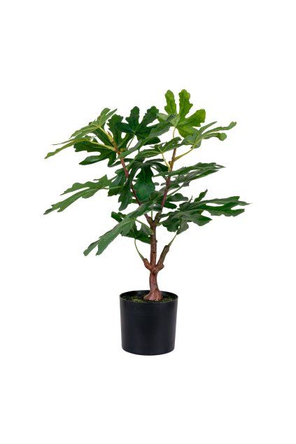 Figovník - umelá rastlina, zelená H:60 cm