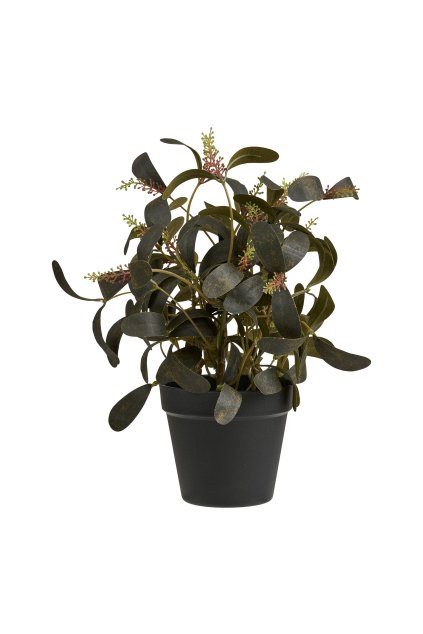 Umelá rastlina - rastlina, zelená H: 35 cm