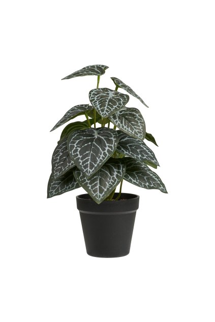 Umelá rastlina - rastlina, zelená H: 33 cm