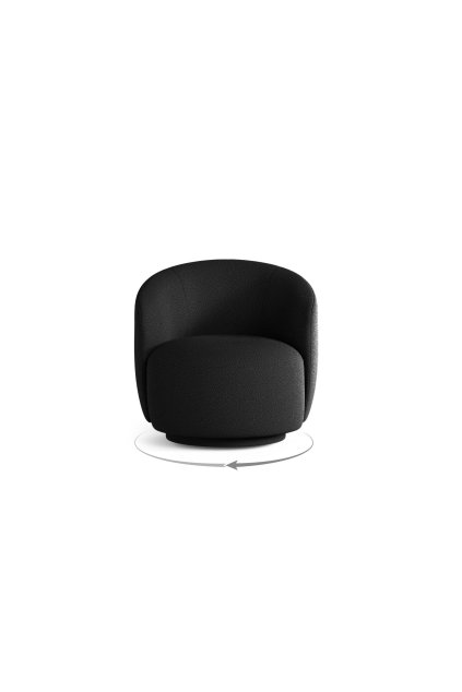 MIC ARM S 207 F1 LETIZIA8 1