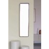 nyko rectangle large zrkadlo