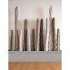 cactus dekoracia