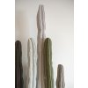 cactus dekoracia