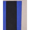 zernu blue 42 obraz