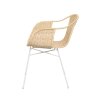 allegra white stolicka
