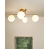 brisia 4 visiaca lampa