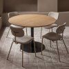 TB RO DL22 1190 373260 340484 Z 01 SF FA Tafelblad rond doorgaande lamel O120cm transparant Tablo ronde poot Link VIERKANT