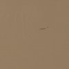 HOUT IMPERFECTIE Grenenhout Mud Geschuurd 01