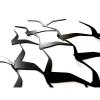 birds vesiak