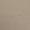 HOUT IMPERFECTIE Grenenhout Dakargrau Egaal 01