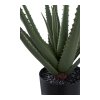 Aloe Vera - umelá rastlina, zelená H:51 cm