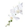 Orchidea - umelá rastlina, zelená/biela V:49 cm