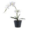Orchidea - umelá rastlina, zelená/biela V:49 cm