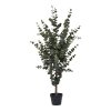 Eukalyptus strom - umelá rastlina, zelená H:120 cm
