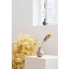 zuiver bloom vaza