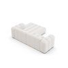 MIC RC 101 F1 LUPINE1 5