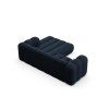 MIC RC 101 F1 LUPINE5 5