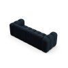 MIC 3S 101 F1 LUPINE5 4