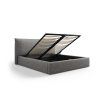 MIC BF180 164 F1 AGATE2 6