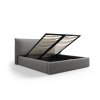 MIC BF200 164 F1 AGATE2 6