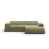MIC COV RC M 259 JODIE3 1