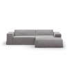MIC COV RC M 259 JODIE6 1