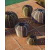 garoina 25 stolova lampa